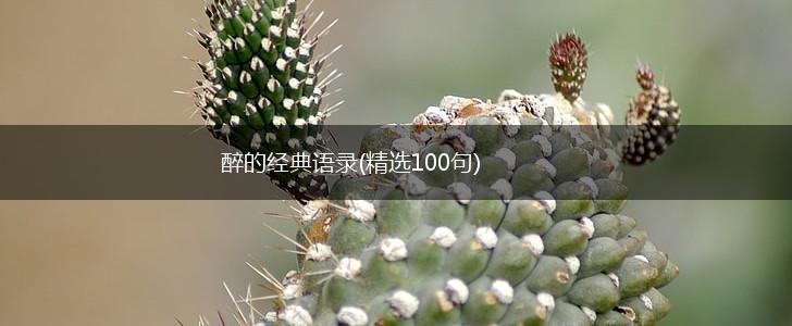 醉的经典语录(精选100句),第1张