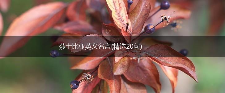 莎士比亚英文名言(精选20句),第1张 莎士比亚英文名言(精选20句),第1张