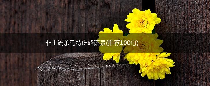 非主流杀马特伤感语录(推荐100句),第1张