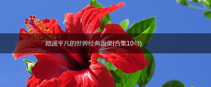 路遥平凡的世界经典语录(合集10句),第1张