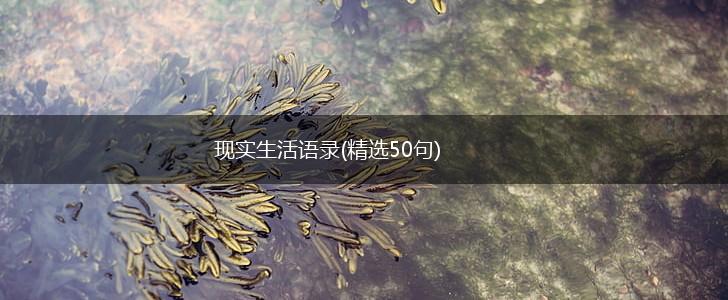 现实生活语录(精选50句),第1张