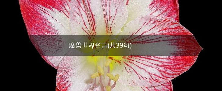 魔兽世界名言(共39句),第1张