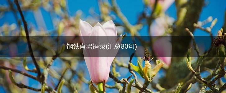 钢铁直男语录(汇总80句),第1张