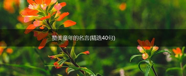 赞美童年的名言(精选40句),第1张 赞美童年的名言(精选40句),第1张