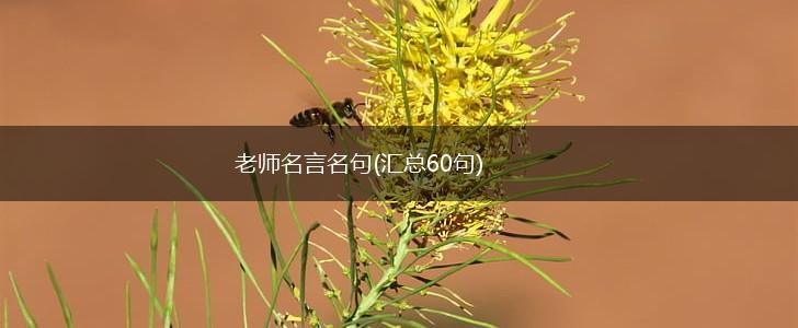 老师名言名句(汇总60句),第1张 老师名言名句(汇总60句),第1张