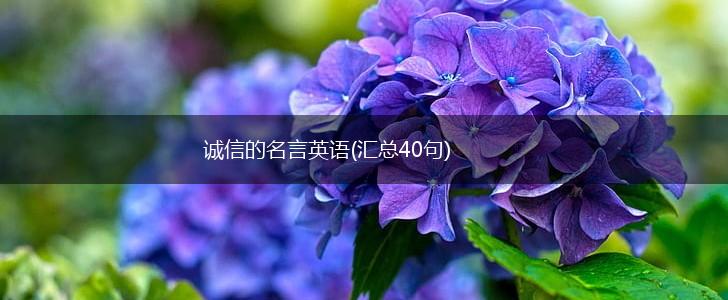 诚信的名言英语(汇总40句),第1张