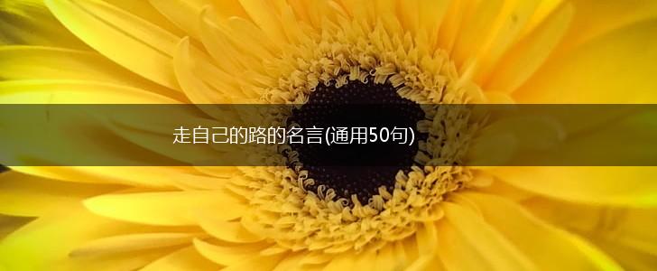 走自己的路的名言(通用50句),第1张