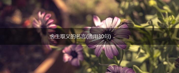 舍生取义的名言(通用30句),第1张