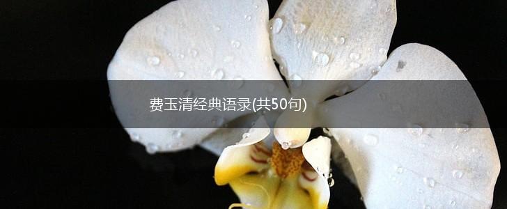 费玉清经典语录(共50句),第1张