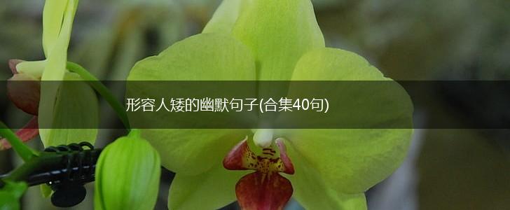 形容人矮的幽默句子(合集40句),第1张 形容人矮的幽默句子(合集40句),第1张