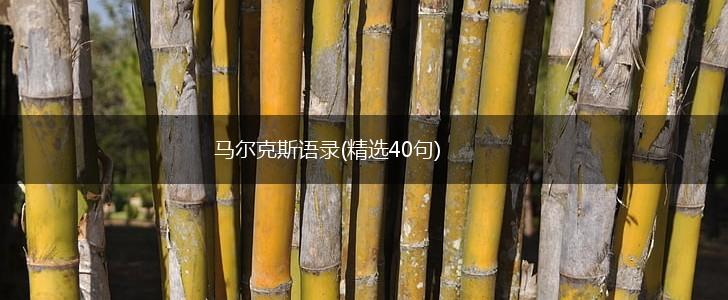 马尔克斯语录(精选40句),第1张