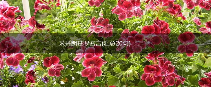 米开朗基罗名言(汇总20句),第1张