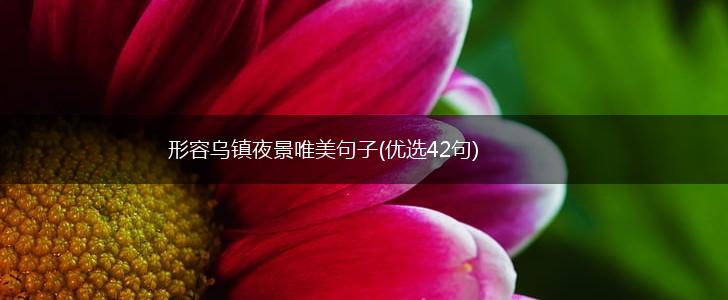 形容乌镇夜景唯美句子(优选42句),第1张