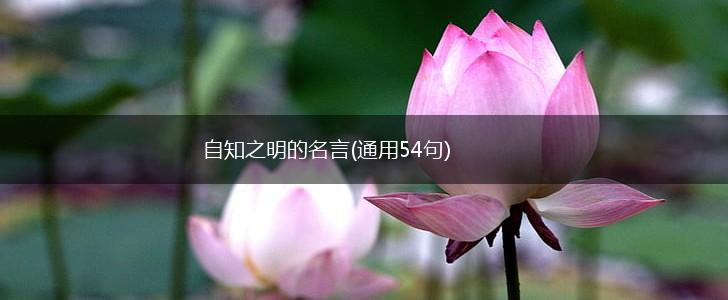 自知之明的名言(通用54句),第1张 自知之明的名言(通用54句),第1张