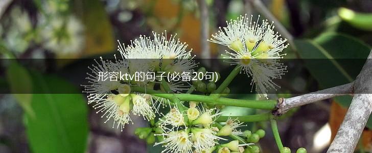 形容ktv的句子(必备20句),第1张