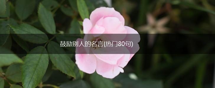 鼓励别人的名言(热门80句),第1张