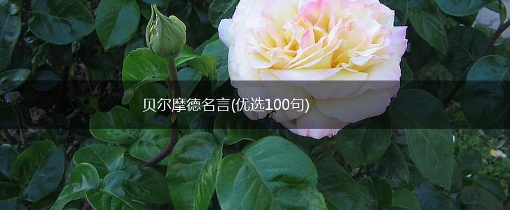 贝尔摩德名言(优选100句),第1张
