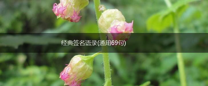 经典签名语录(通用69句),第1张