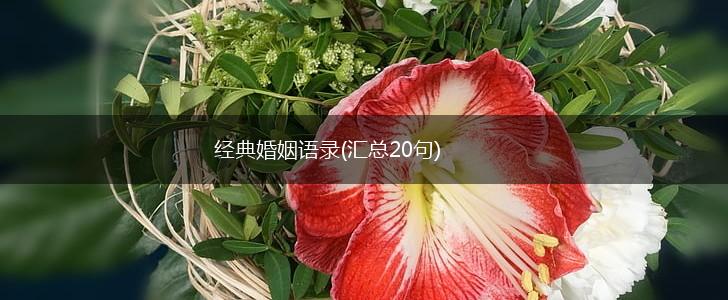 经典婚姻语录(汇总20句),第1张