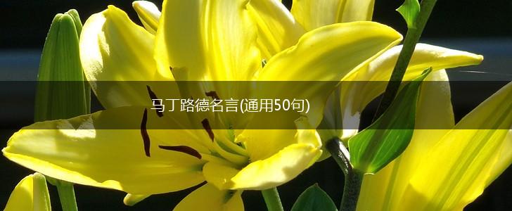 马丁路德名言(通用50句),第1张
