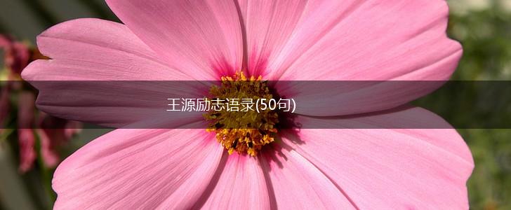 王源励志语录(50句),第1张