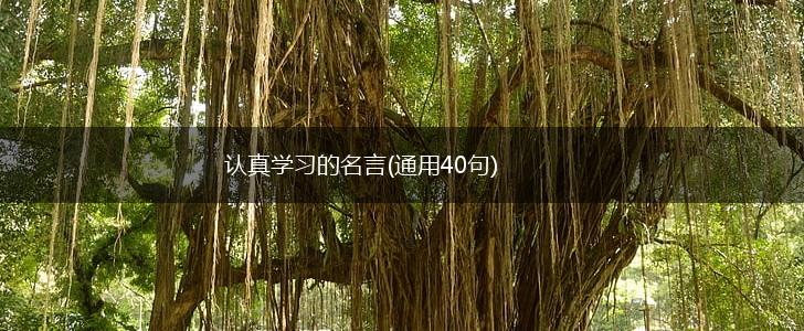 认真学习的名言(通用40句),第1张