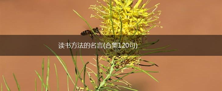 读书方法的名言(合集120句),第1张 读书方法的名言(合集120句),第1张