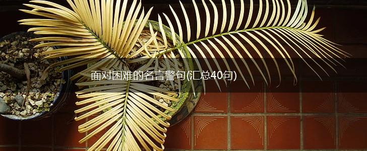 面对困难的名言警句(汇总40句),第1张