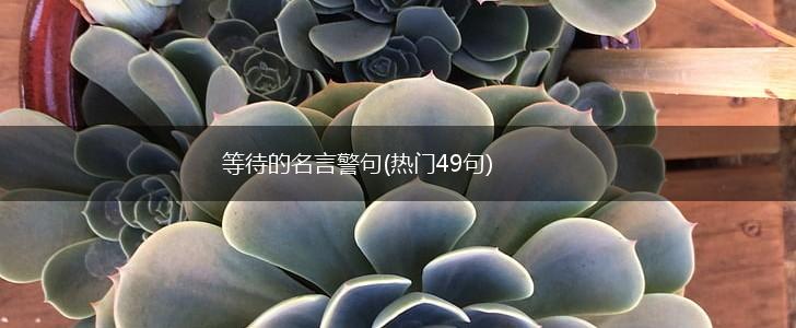 等待的名言警句(热门49句),第1张 等待的名言警句(热门49句),第1张