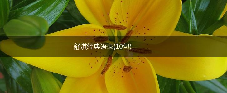 舒淇经典语录(10句),第1张