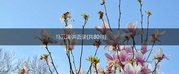 马云演讲语录(共80句),第1张