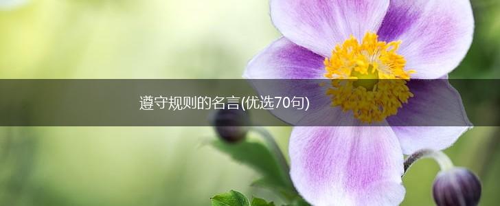 遵守规则的名言(优选70句),第1张