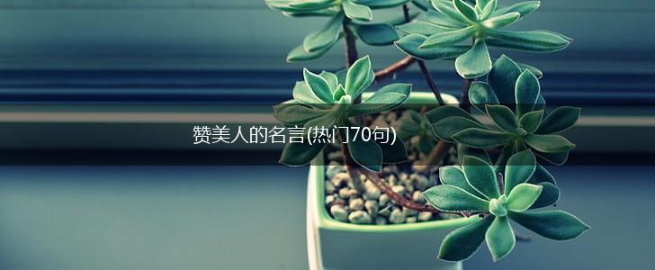 赞美人的名言(热门70句),第1张