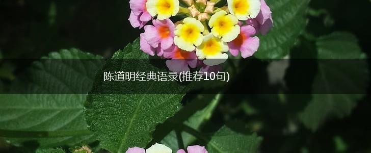 陈道明经典语录(推荐10句),第1张