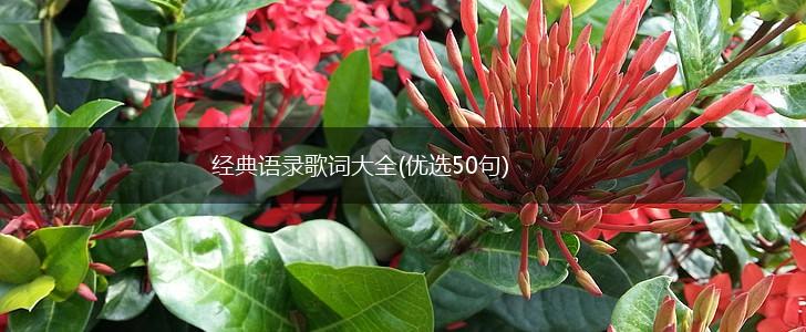 经典语录歌词大全(优选50句),第1张