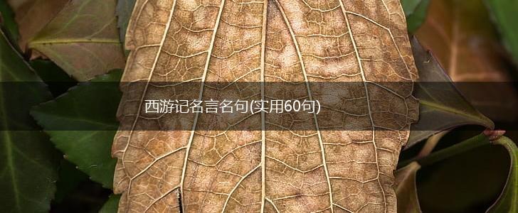 西游记名言名句(实用60句),第1张