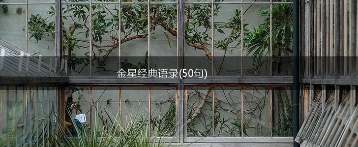 金星经典语录(50句),第1张