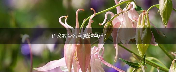 语文教育名言(精选40句),第1张 语文教育名言(精选40句),第1张