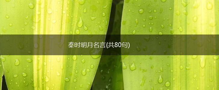 秦时明月名言(共80句),第1张