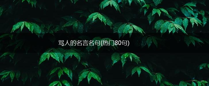 骂人的名言名句(热门80句),第1张