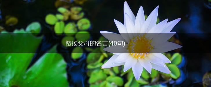 赞扬父母的名言(40句),第1张