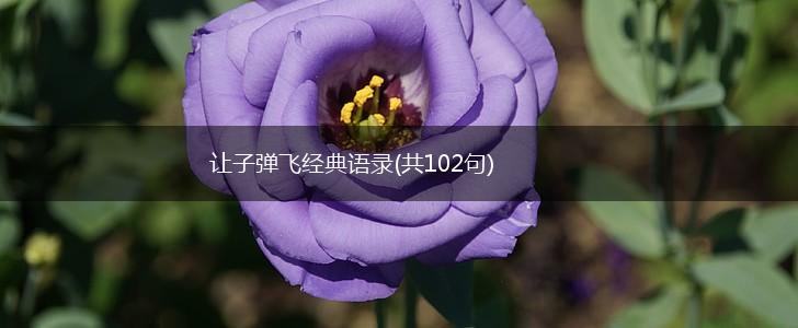 让子弹飞经典语录(共102句),第1张
