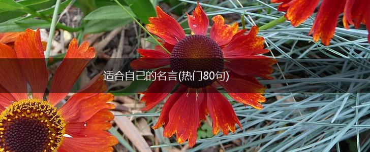 适合自己的名言(热门80句),第1张