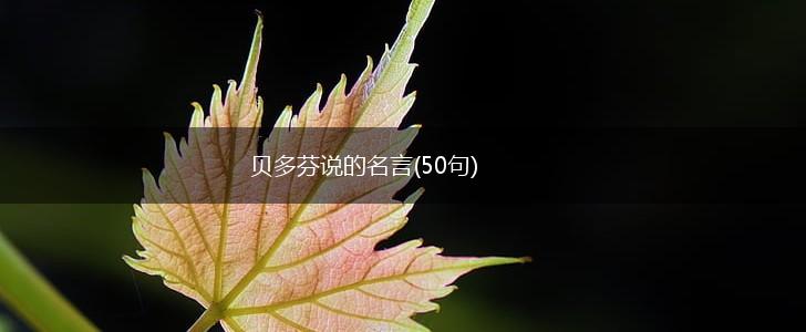 贝多芬说的名言(50句),第1张 贝多芬说的名言(50句),第1张