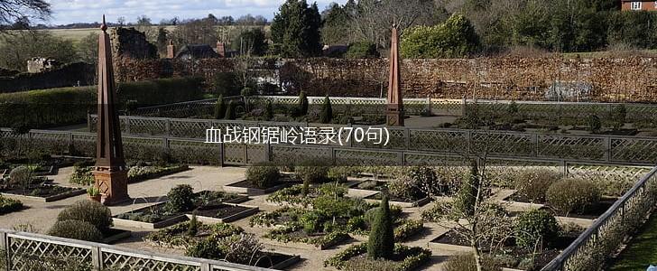 血战钢锯岭语录(70句),第1张