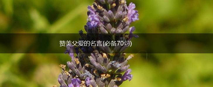 赞美父爱的名言(必备70句),第1张 赞美父爱的名言(必备70句),第1张
