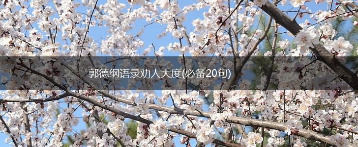 郭德纲语录劝人大度(必备20句),第1张