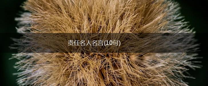 责任名人名言(10句),第1张 责任名人名言(10句),第1张