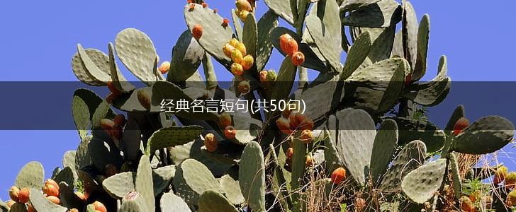 经典名言短句(共50句),第1张