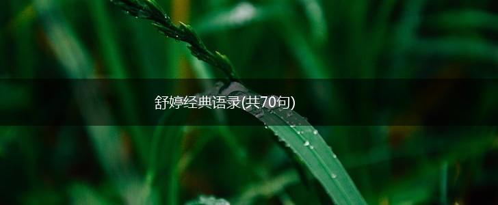 舒婷经典语录(共70句),第1张
